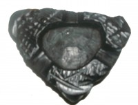 Cenicero